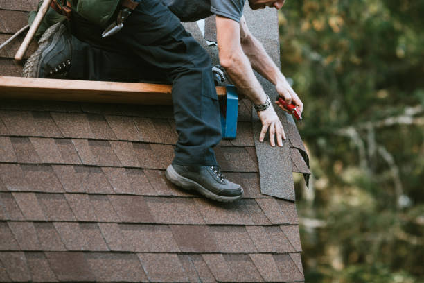 Best Roof Gutter Cleaning  in Kerhonkson, NY